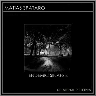 Endemic Sinapsis by Matias Spataro