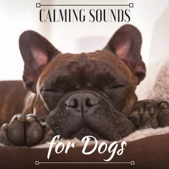 Calming Sounds for Dogs – Relaxing Nature Sounds to Soothe Animal, Stress Relief Music Therapy for Loneliness by Pet’s Comfort Music