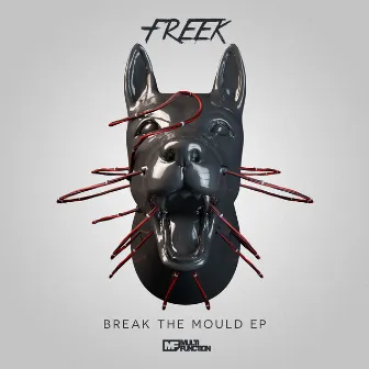 Break The Mould by Freek