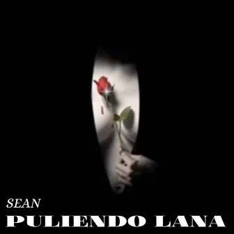 PULIENDO LANA by Sean