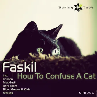 How to Confuse a Cat by Faskil