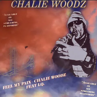 FEEL MY PAIN (Screwed & Chopped) by Chalie Woodz