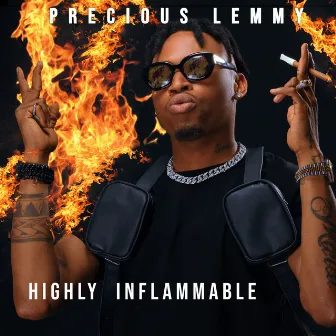 Highly Inflammable by Precious Lemmy