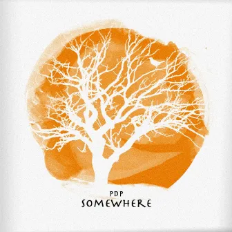 Somewhere by PDP