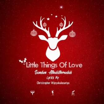 Little Things of Love by Sandun Athulathmudali