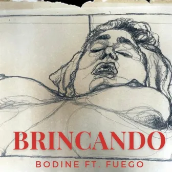 BRINCANDO by Bodine