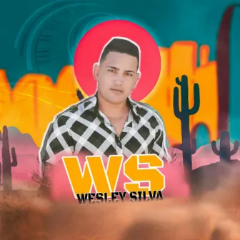 Não Te Bloqueei by Wesley Silva