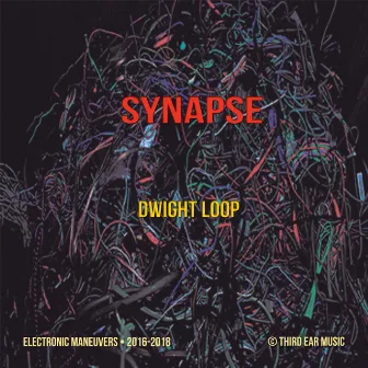 Synapse by Dwight Loop