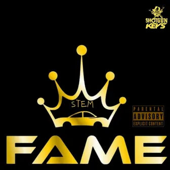 Fame by Stem