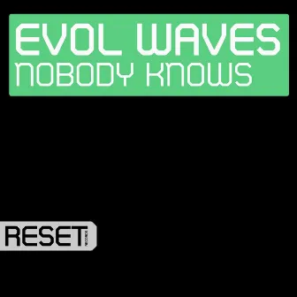 Nobody Knows by Evol Waves