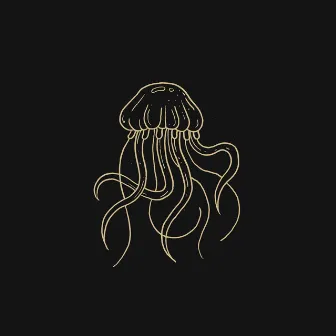 Jellyfish by Slowly Slowly