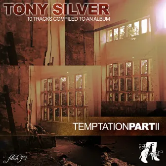 Temptation, Vol. 2 by Tony Silver