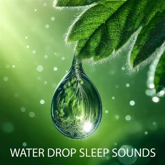 Water Drop Sleep Sounds by ASMR Baby Sleep Sounds