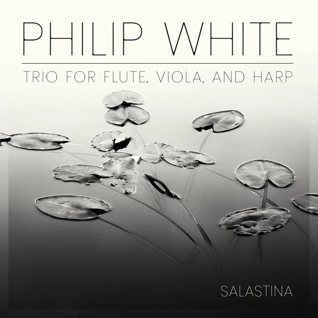 Trio for Flute, Viola, And Harp: I. Allegro