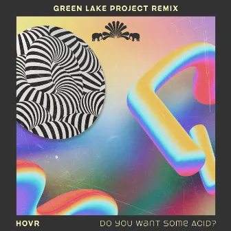 Do You Want Some Acid? (Green Lake Project Remix) by Green Lake Project