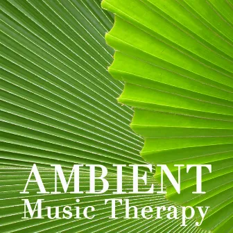 Ambient Music Therapy by Ambient Music Therapy Room