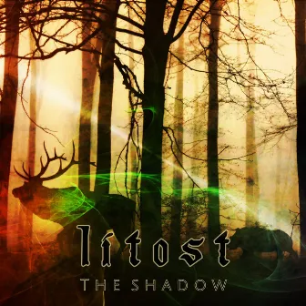 The Shadow by Litost