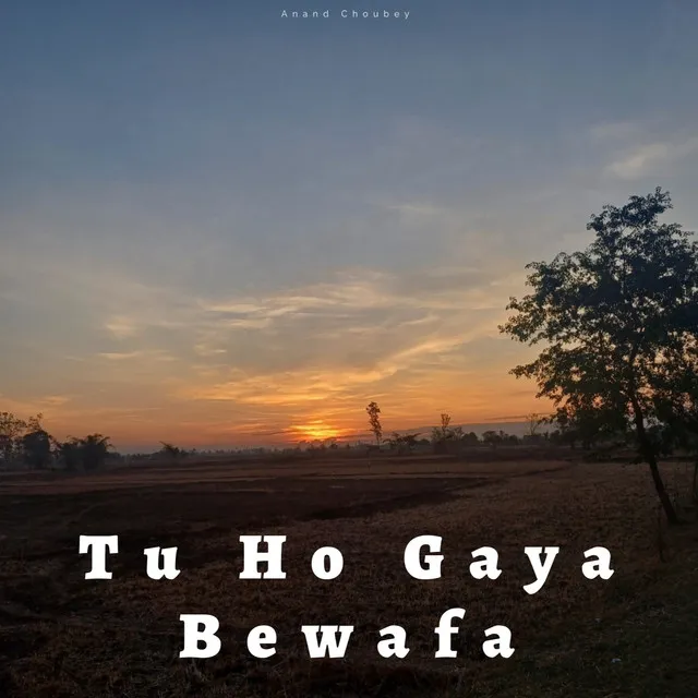 Tu Ho Gaya Bewafa