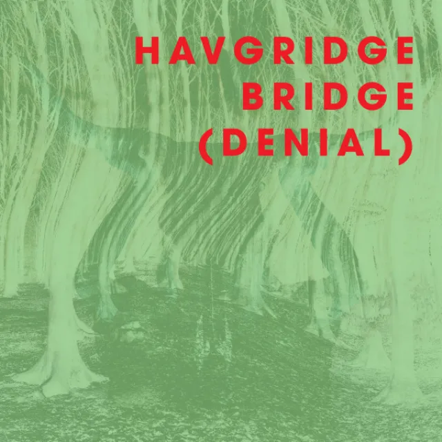 Havgridge Bridge - Denial