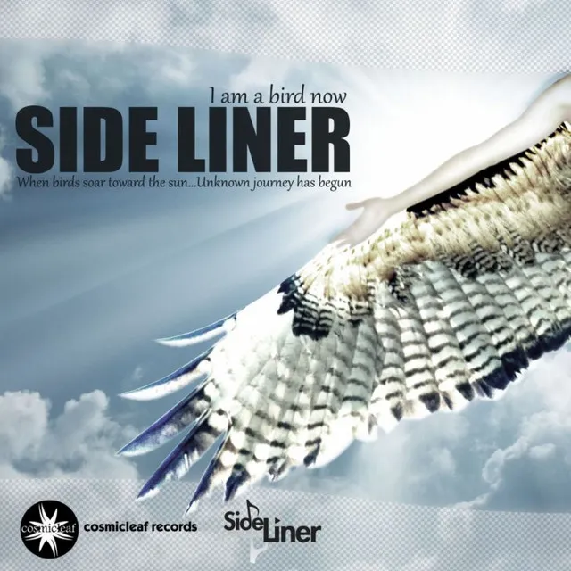 Spherical Pi - Side Liner Remix