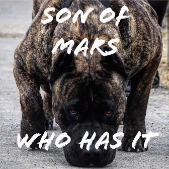 Who Has It by Son of Mars