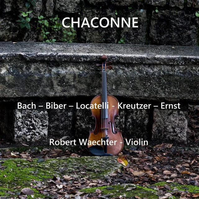 Chaconne, BWV 1004 in D Minor (From Partita No. 2)