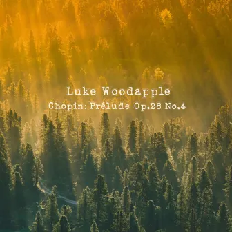 Chopin: Prelude, Op. 28: No. 4 in E Minor, Largo by Luke Woodapple