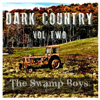 Dark Country, Vol. 2 by The Swamp Boys