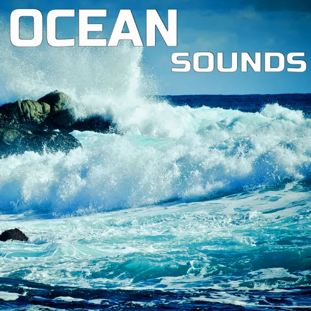 Ocean Nature Sounds