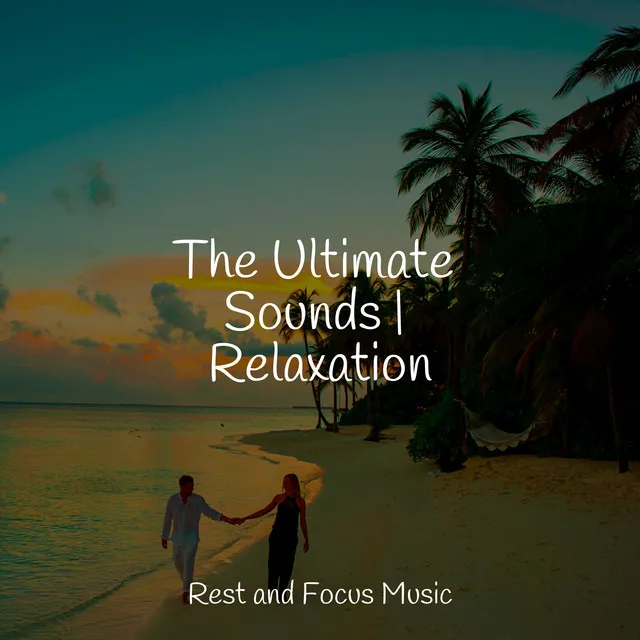 The Ultimate Sounds | Relaxation