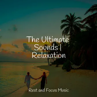 The Ultimate Sounds | Relaxation by Unknown Artist