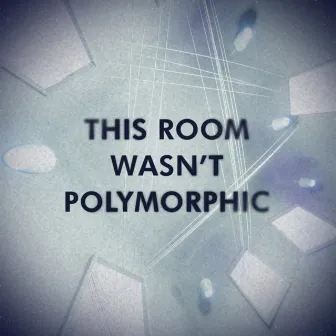 This Room Wasn't Polymorphic by KINZOisHERE