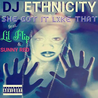 She Got It Like That by DJ Ethnicity