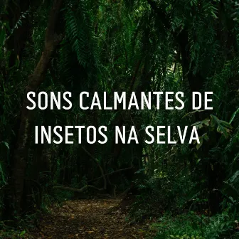 Sons Calmantes De Insetos Na Selva by PAZ