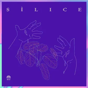 Silice (Un Compilado de Productores Mujeres Cis, Trans y No Binaries) by Luiza Luz