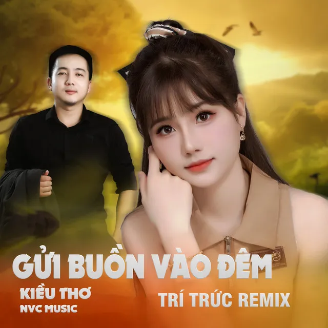 Gửi Buồn Vào Đêm Beat - Trí Thức Remix