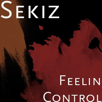 Feelin Control by Sekiz