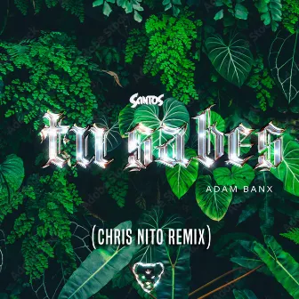 Tu Sabes (Chris Nito Remix) by Chris Nito