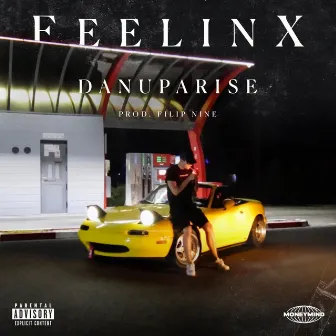 Feelinx by Danu Parise