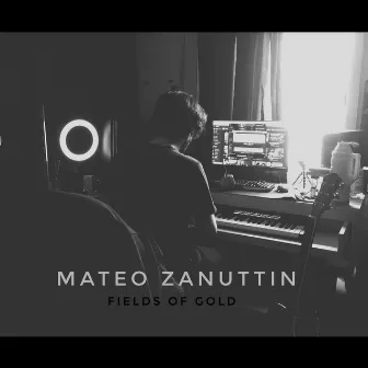 Fields Of Gold (Freestyle) by Mateo Zanuttin