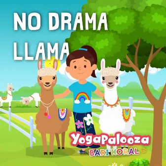 No Drama Llama by Unknown Artist