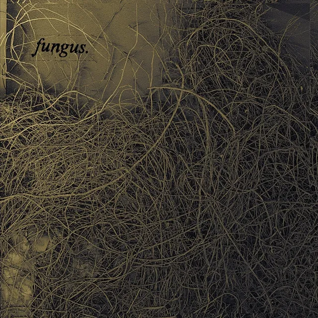 Fungus - EP