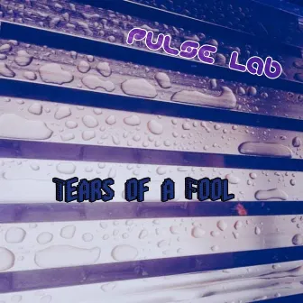 Tears of a Fool by Pulse Lab