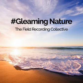 #Gleaming Nature by The Field Recording Collective