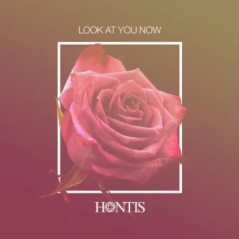 Look at You Now by Hontis