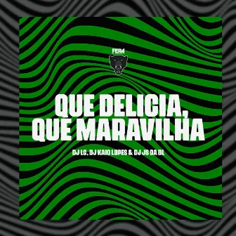 Que Delicia, Que Maravilha by Dj Js da Bl