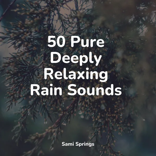 50 Pure Deeply Relaxing Rain Sounds