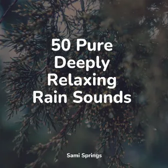 50 Pure Deeply Relaxing Rain Sounds by Schlaflieder Für Kinder