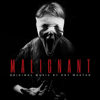 Malignant (Original Soundtrack) by Roy Westad