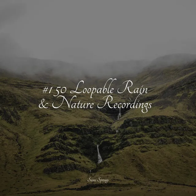 #1 50 Loopable Rain & Nature Recordings